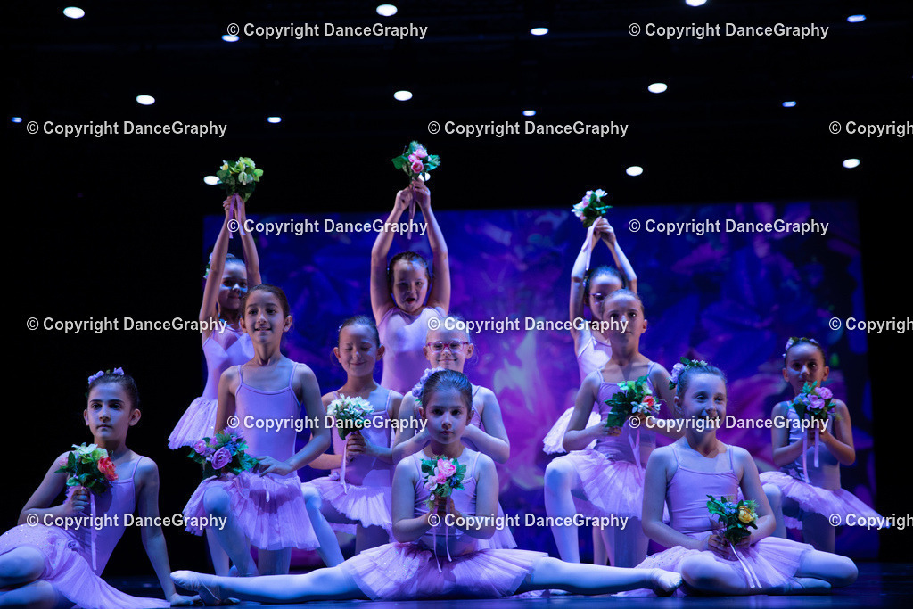 GPHY4898 | DanceGraphy - Realisiert mit Pictrs.com