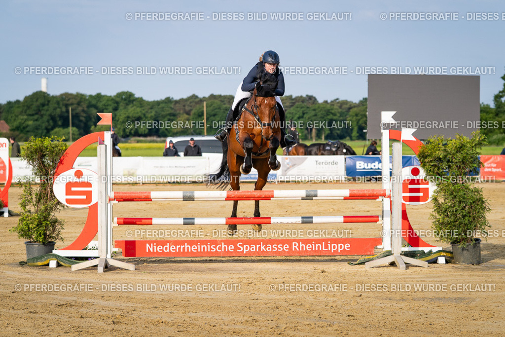 DSC02424 | Pferdegrafie