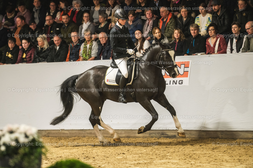 20240302_Hengstvorstellung_Marbach_TOMsPiC_0695 | equistock