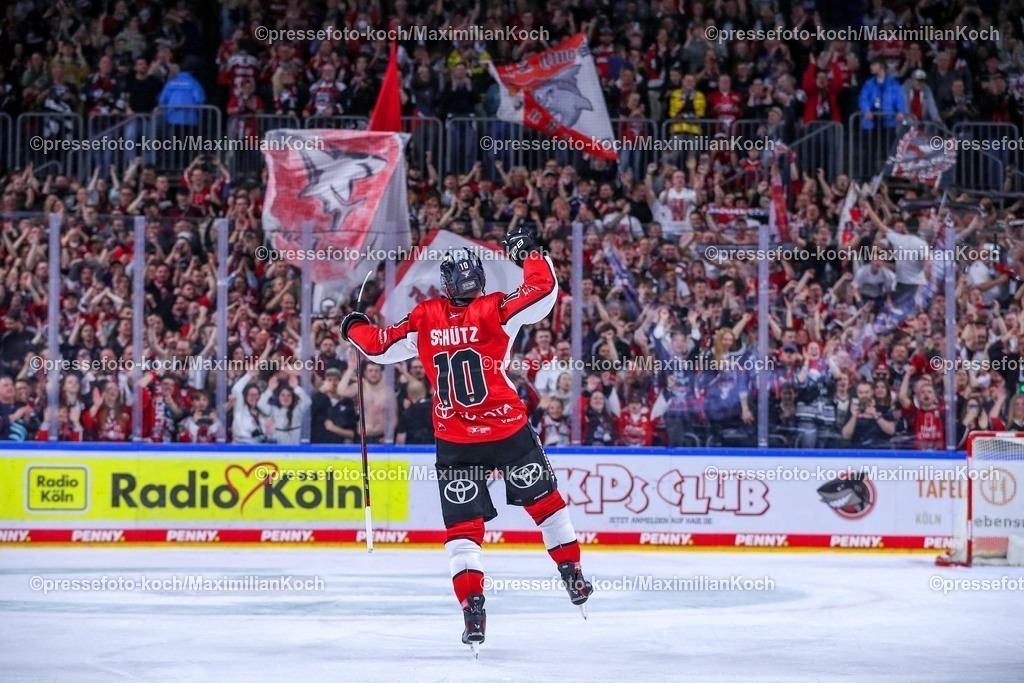 KEC1404251137 | 14.04.2025, Eishockey, DEL Play-offs, Kölner Haie - ERC Ingolstadt, Halbfinale Spiel 6, Lanxess-Arena Köln: Abschlussjubel nach dem EInzug der Kölner Haie ins Finale. Die Haie Siegen mit 3:2 gegen Ingolstadt durch Torschütze Justin Schütz (Kölner Haie #10) in der Verlängerung