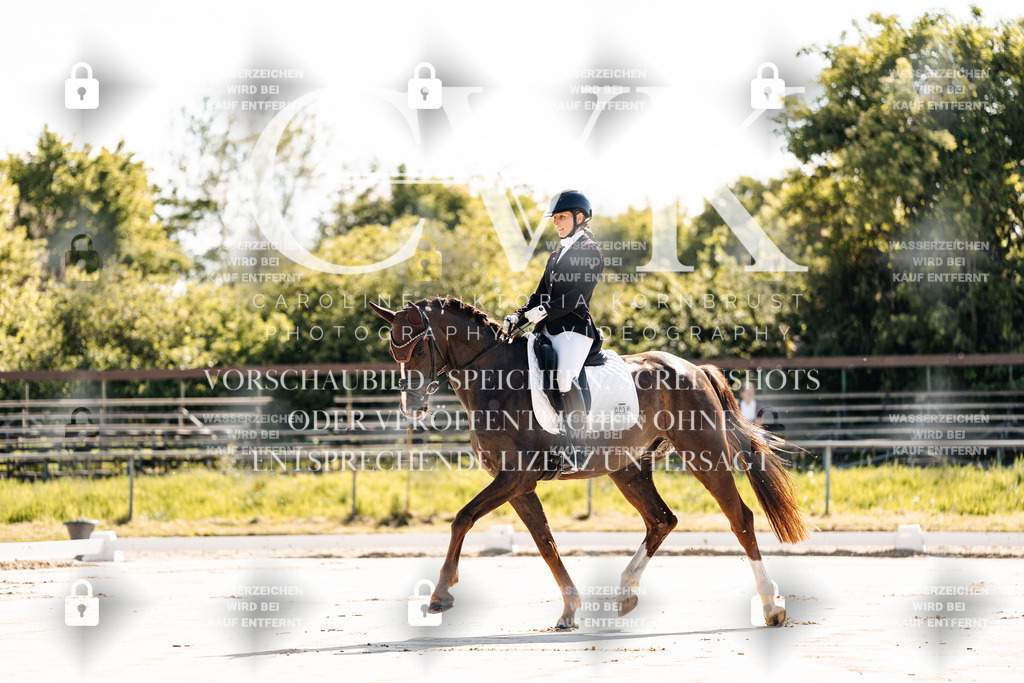 CK909060 | Turnierfotografie Pferdefotografie Trier Rheinland-Pfalz Pferdesport Reitsport Tierfotografie Sportfotografie Pferdevideo Pferdevideografie Equestrianvideography equestrianphotography  - Realisiert mit Pictrs.com