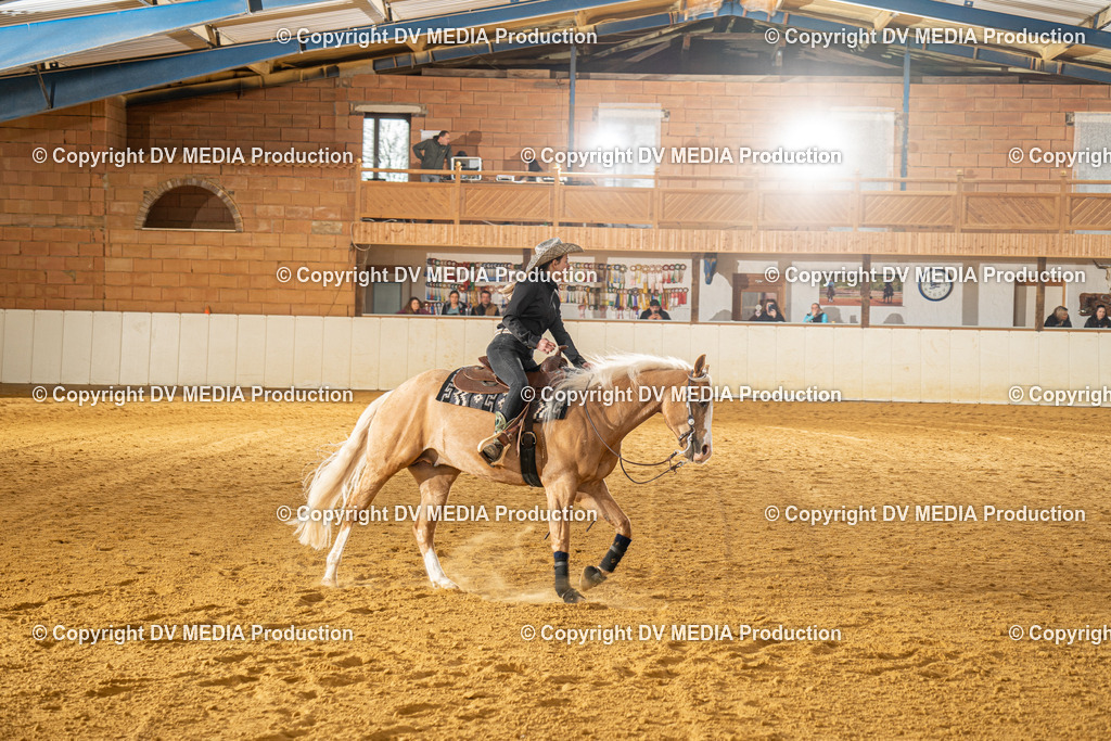 MIT00675 | dv-media-shop - Realisiert mit Pictrs.com