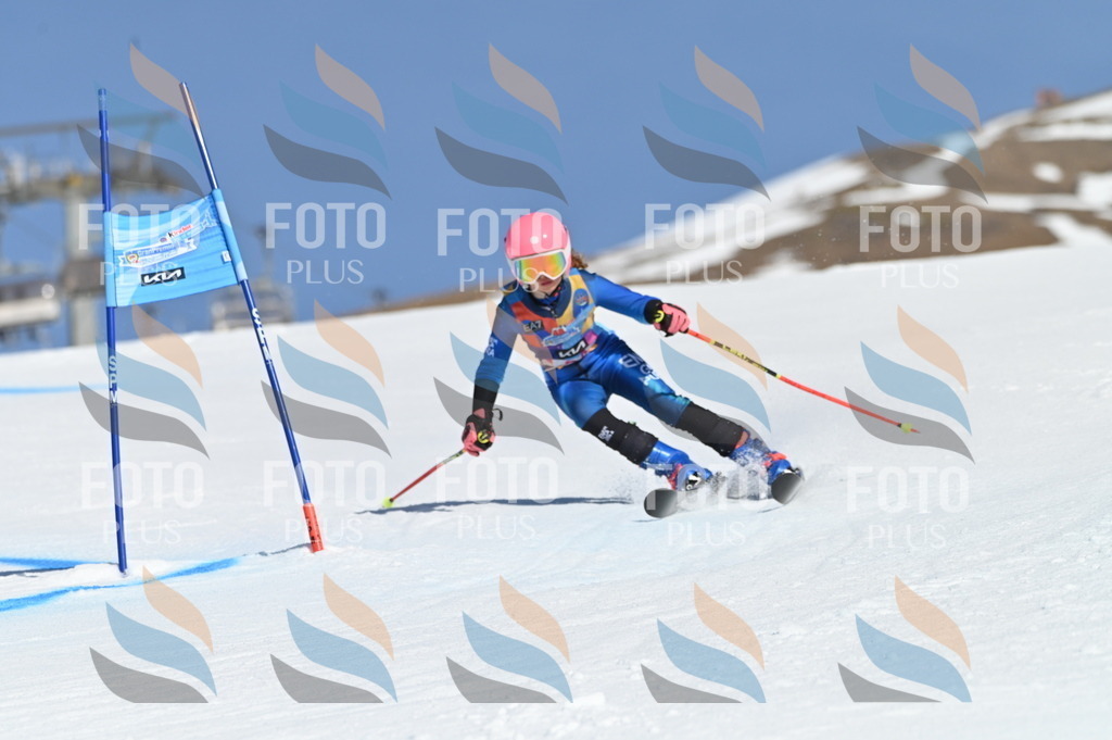 BGV_8222 | holidayphoto