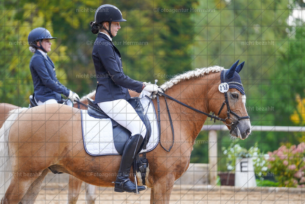 20221008-FAH00902 | Diessen am Ammersee, 2022, Dressur- und Springturnier, Reitsportbilder, Turnierfotografen Bayern, Pferdefotografen, Fotoagentur Herrmann, Turnierbilder