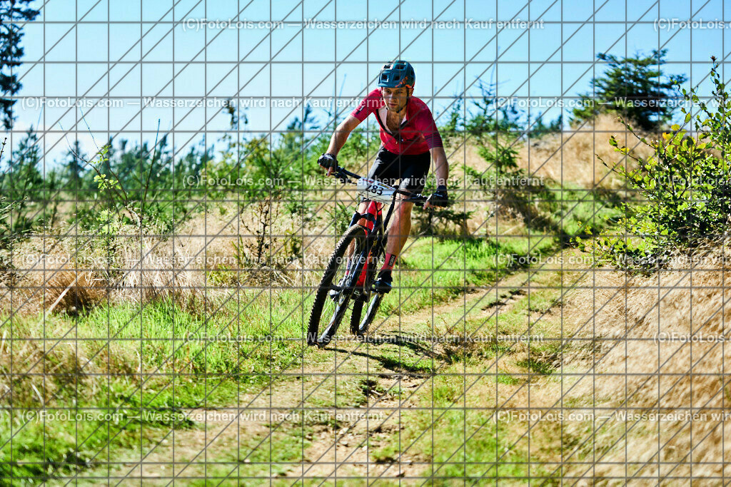 ALP6840_XXIX_GRANITBEISSER_Medium_Lindner David | (C)FotoLois.com, Alois Spandl, 29. GRANITBEISSER - Mountainbike-Marathon in St. Georgen am Walde, MEDIUM 39,5 km, Sa 2. September 2023.