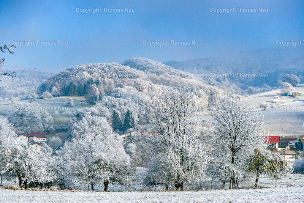 Gadernheim_Winter | Lautertal, Winterwunderlandschaft, wie mit einer Puderzuckerschicht ueberzogen praesentiert  sich der Odenwald, bei Gadernheim ,, Bild: Thomas Neu