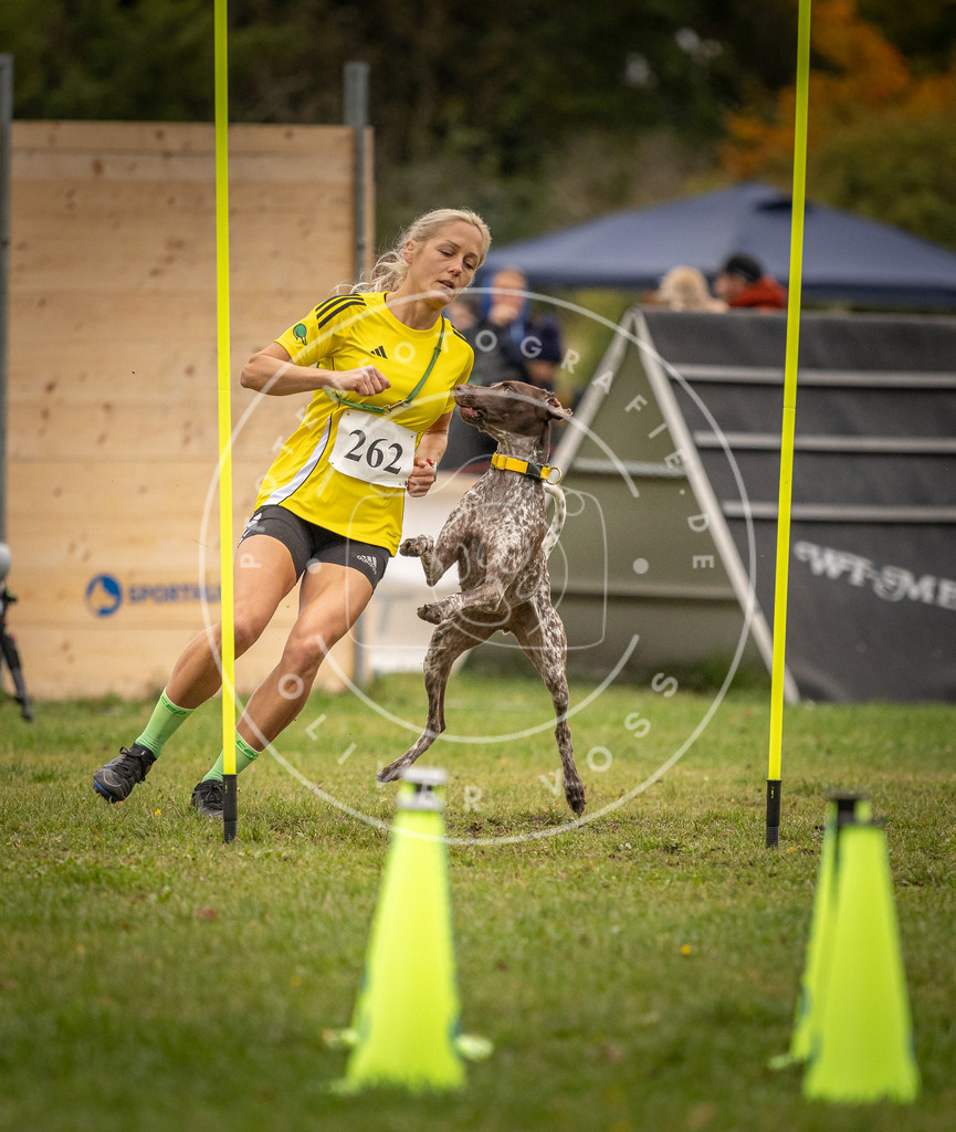 Pfotenfotografie_DV3A7208 | Hundefotografie, Tierfotograf, Pfotenfotografie, Fotoshooting Hund, Hunde Portrait, Hundesport, Hundeportraits, Heideshooting, Hunde, Sportfotograf, Hundefotograf, Turnierhundsport, THS,  - Realisiert mit Pictrs.com