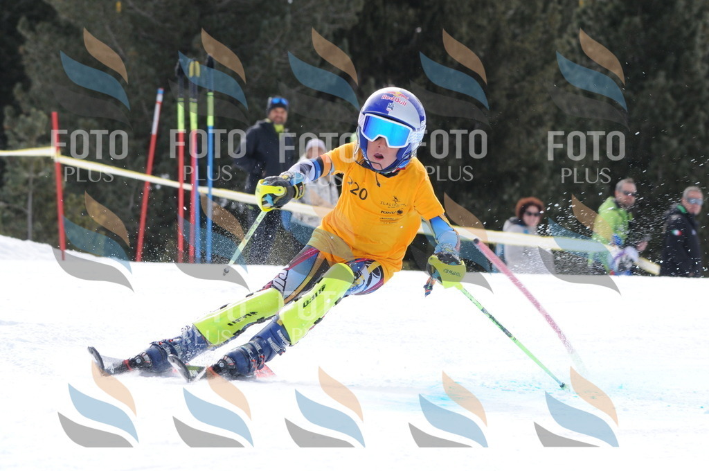 C7614 | holidayphoto