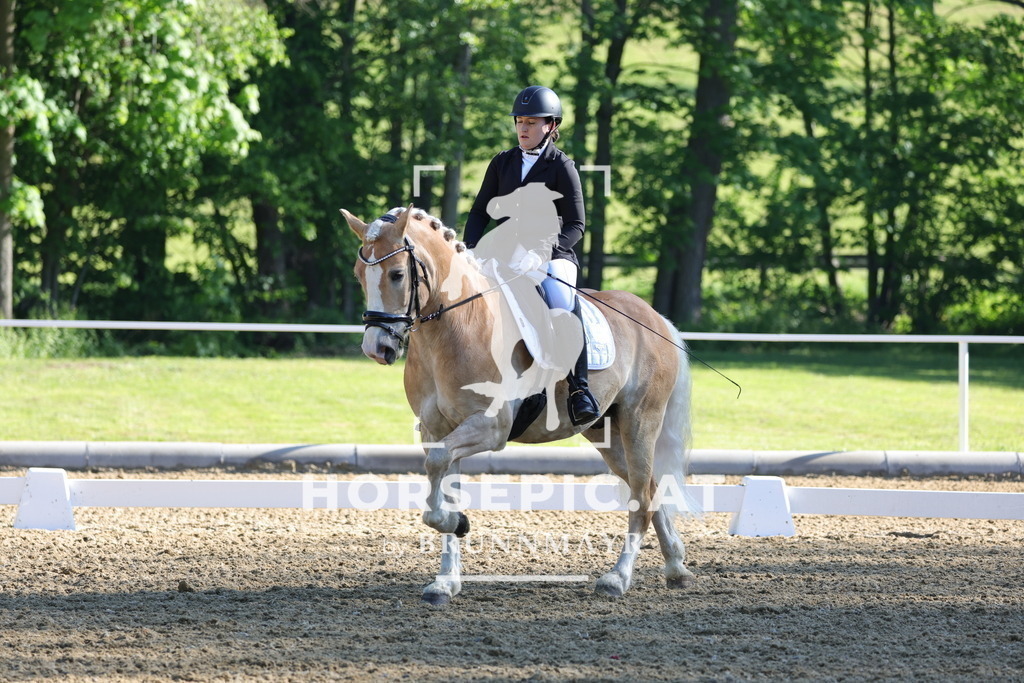 0P6A9356 | Willkommen bei Brunnmayr - Design & Fotografie – Ihrem Spezialisten für Reitturniere und Pferdeveranstaltungen in Oberösterreich, Salzburg und Bayern! Seit über 17 Jahren sind wir leidenschaftlich dabei.