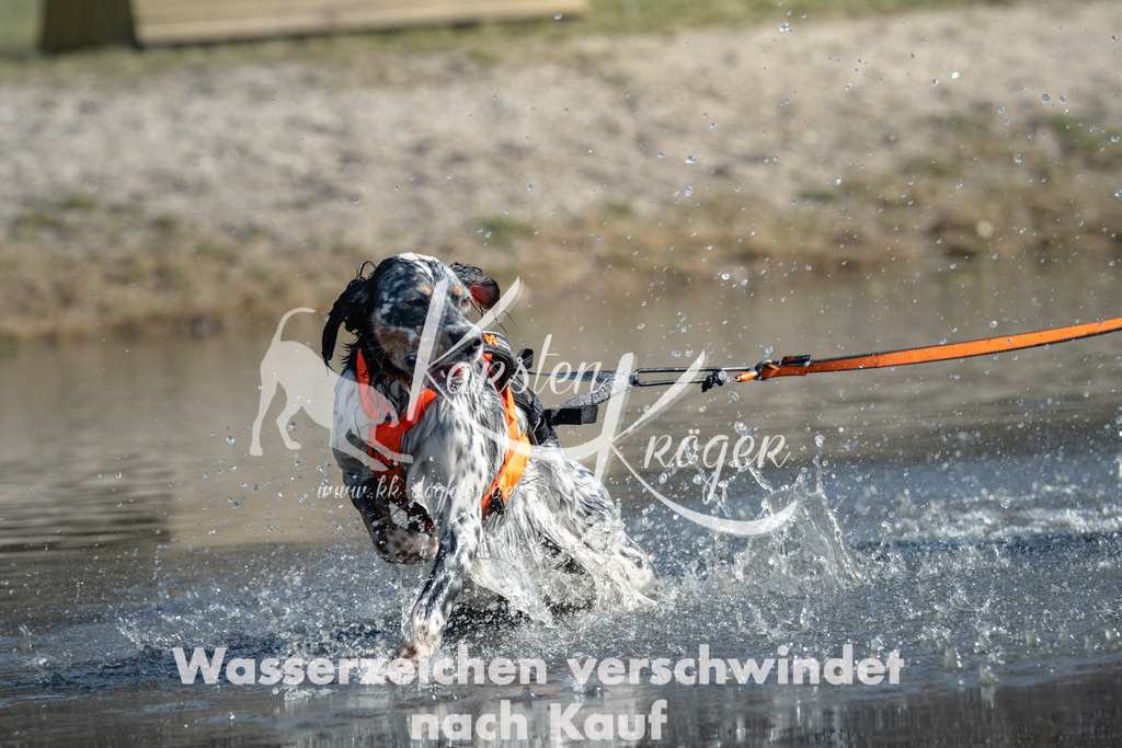 1143_ZZ95948 | kk-dogfotos