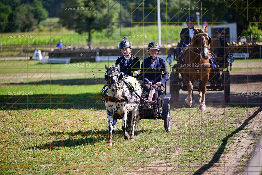 30 Jahre RFV Pulsnitz e.V., Pulsnitz am 09.08.2026 | 30Jahre Reit- und Fahrverein Pulsnitz e.V., Pulsnitz am 08.08.2026, Zur 28. breitensportlichen Veranstaltung des RFV Pulsnitz e.V. fanden verschiedene Wettbewerbe in nahezu allen Disziplinen des Pferdesport statt.- Dressur-Fahr-Wettbewerb - Realisiert mit Pictrs.com