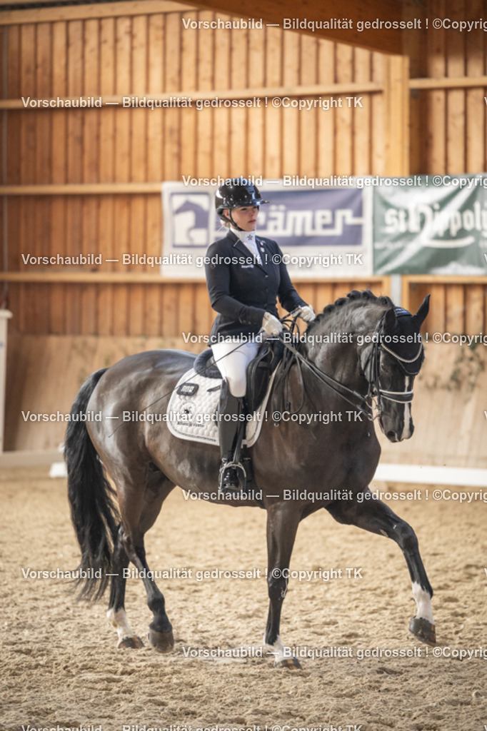 _D5A6367 | Emotionale Pferde- & People-Fotografie rund um Heidelberg, Leimen & Umgebung. Natürliche Fotos von Pferd, Mensch & Familie. Jetzt Termin sichern!