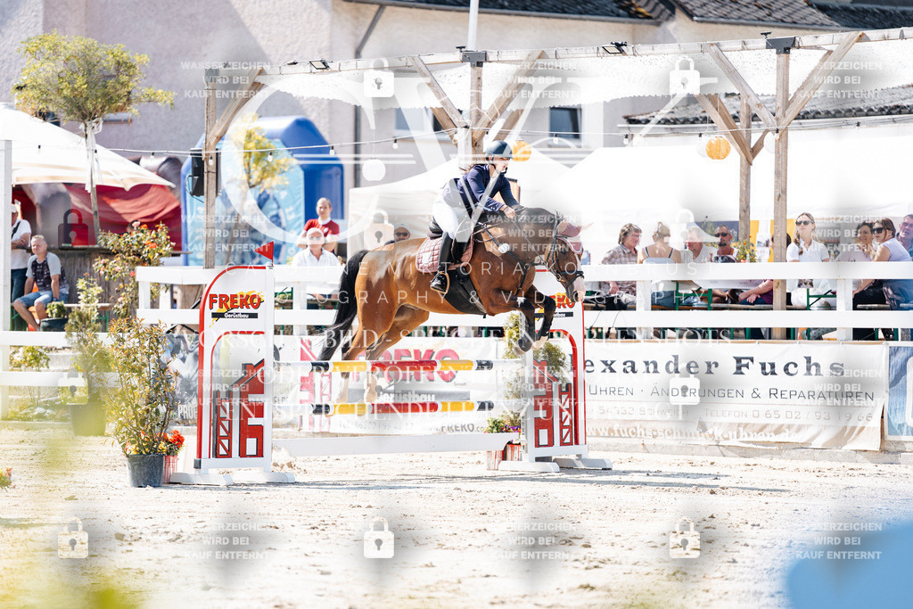 CK908457 | Turnierfotografie Pferdefotografie Trier Rheinland-Pfalz Pferdesport Reitsport Tierfotografie Sportfotografie Pferdevideo Pferdevideografie Equestrianvideography equestrianphotography  - Realisiert mit Pictrs.com