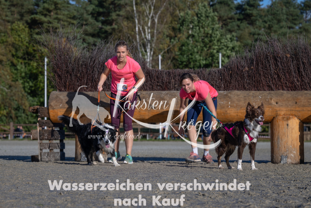 1045-_ZZ92494 | kk-dogfotos