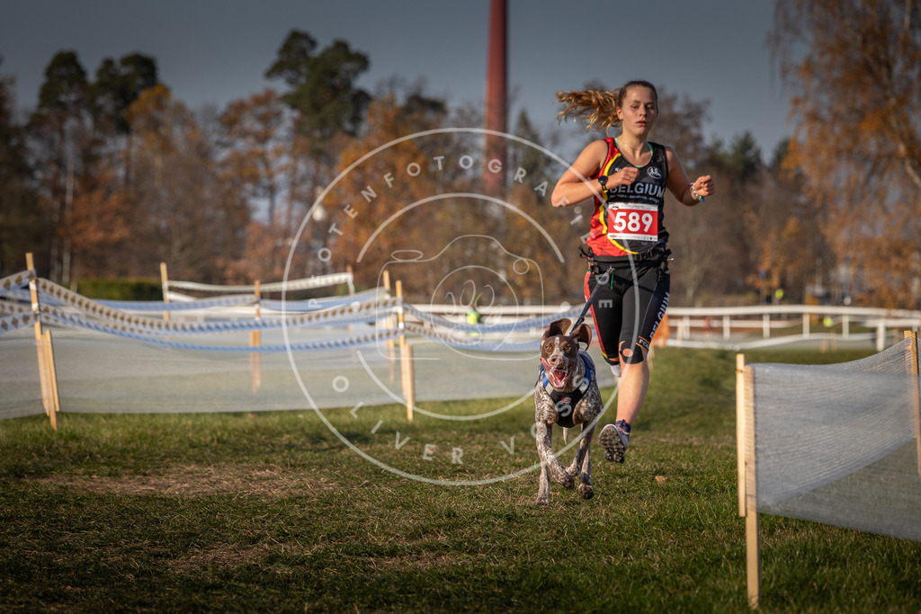 CaniXpix_0L8A9874 | Hundefotografie, Tierfotograf, Pfotenfotografie, Fotoshooting Hund, Hunde Portrait, Hundesport, Hundeportraits, Heideshooting, Hunde, Sportfotograf, Hundefotograf, Turnierhundsport, THS,  - Realisiert mit Pictrs.com