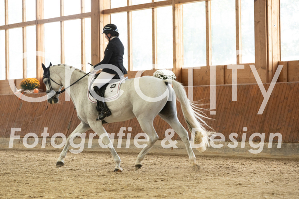 IMG_3062 | Creatify Fotografie