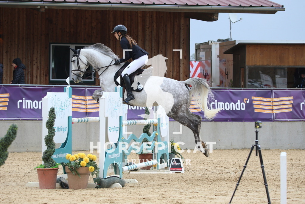 DL2Q1452 | Willkommen bei Brunnmayr - Design & Fotografie – Ihrem Spezialisten für Reitturniere und Pferdeveranstaltungen in Oberösterreich, Salzburg und Bayern! Seit über 17 Jahren sind wir leidenschaftlich dabei.