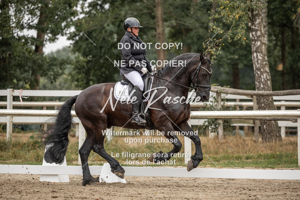nelerasche_DrL_Ede_131 | nelerasche