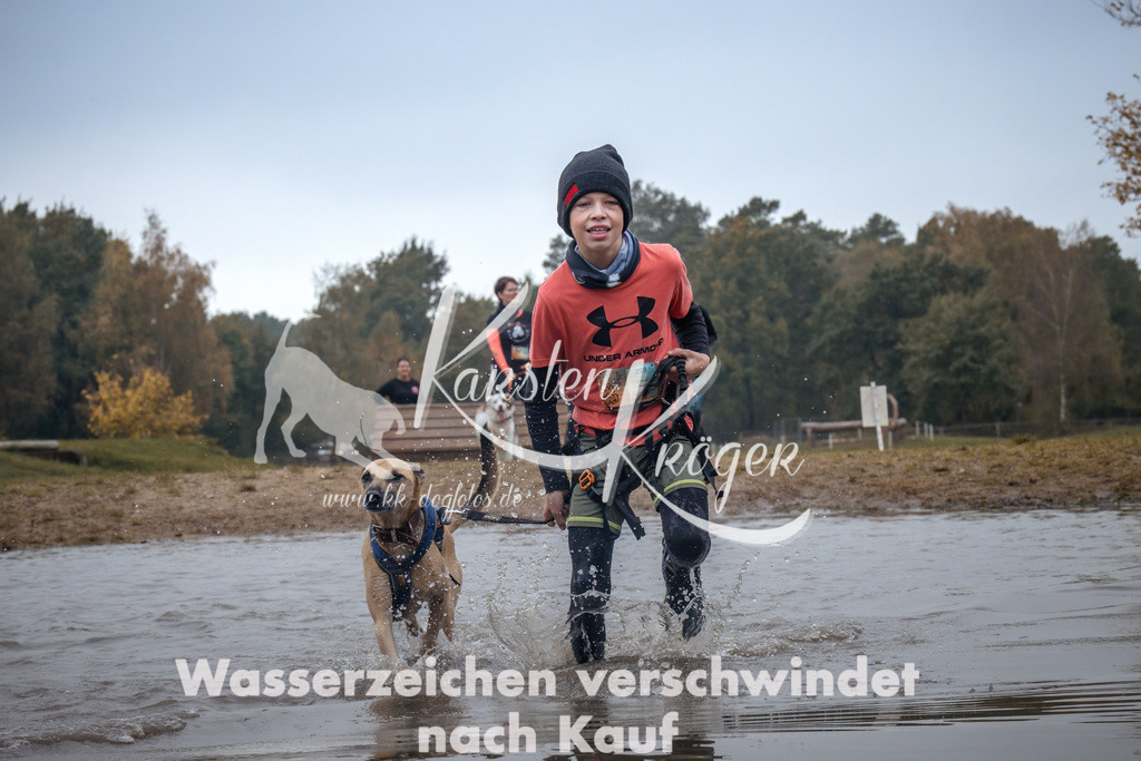 1311_ZZ93184 | kk-dogfotos