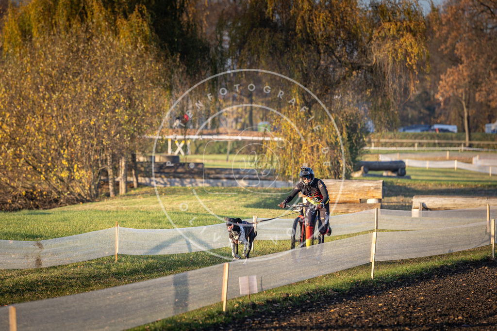 CaniXpix_DV3A9952 | Hundefotografie, Tierfotograf, Pfotenfotografie, Fotoshooting Hund, Hunde Portrait, Hundesport, Hundeportraits, Heideshooting, Hunde, Sportfotograf, Hundefotograf, Turnierhundsport, THS,  - Realisiert mit Pictrs.com