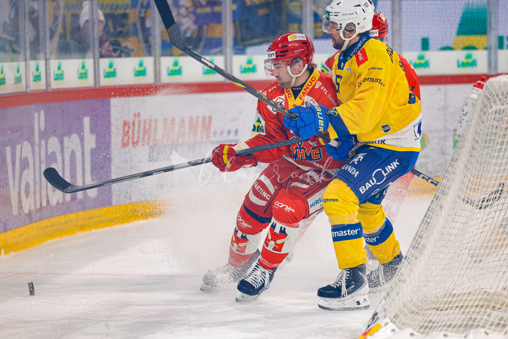 EHCB vs HCD 20260106_wb-1212 | Sportbilder, Sportfotograf, Hochzeits- und Eventfotografin, Flugshows, Portraits und Tiershooting, Aviation, Downhill, Nationalleague, Swissleague, International