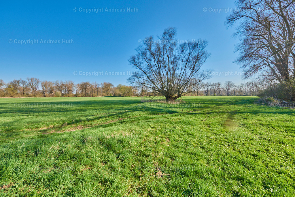 In der Elsteraue bei Predel 06 | Bedeutsame Landschaften Deutschlands - Realisiert mit Pictrs.com