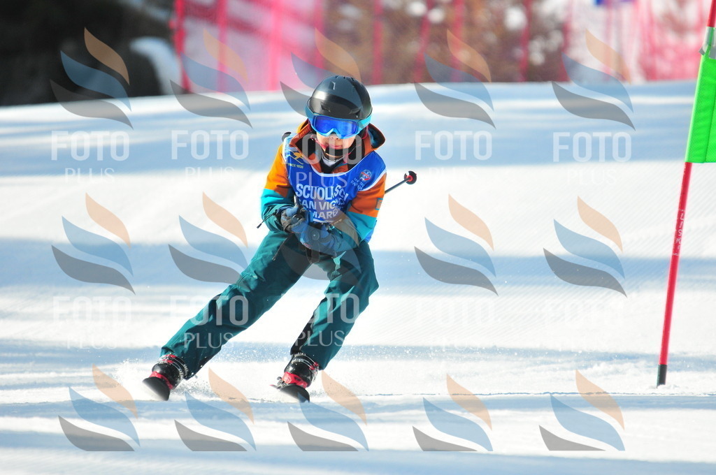 B8823 | holidayphoto