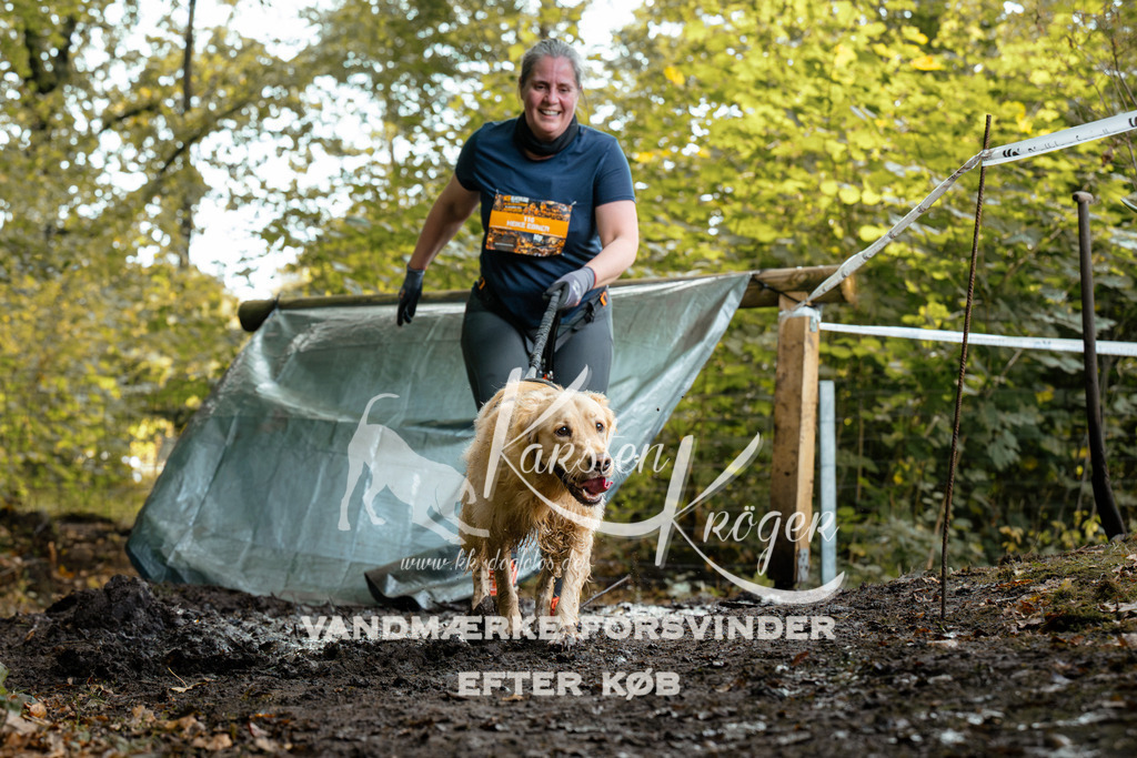 1417DZ6_1491Z6 | kk-dogfotos