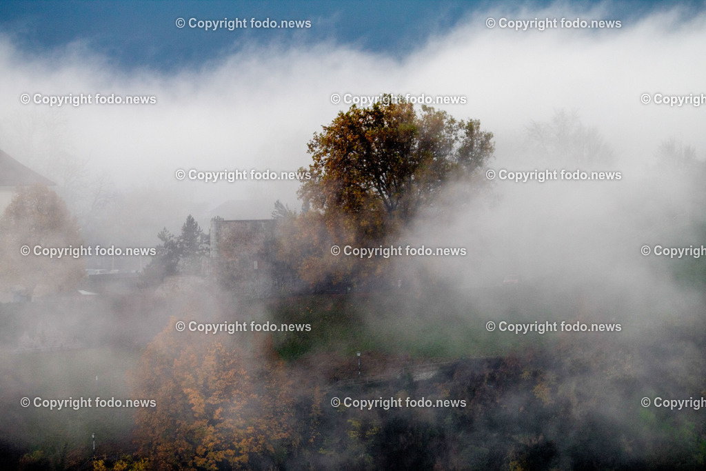 Herbst_ Nebel_ 16.11.2024-6 | 16.11.2024, Linz, AUT, Herbst, im Bild Nebel, Nebelschwaden, Baum, Feature