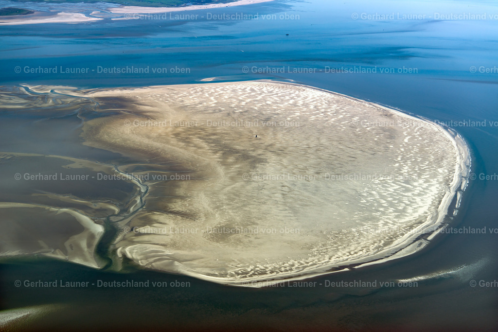3801671 | Süderoogsand, Nationalpark Schleswig-Holsteinisches Wattenmeer