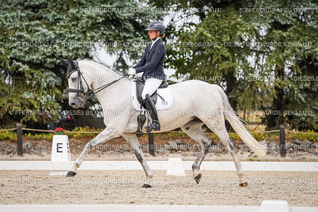 DSC07809 | Pferdegrafie