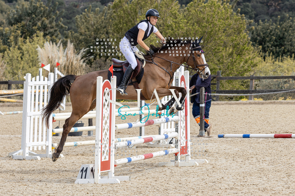 IMG_3676 | s-jay-photography - Realisiert mit Pictrs.com