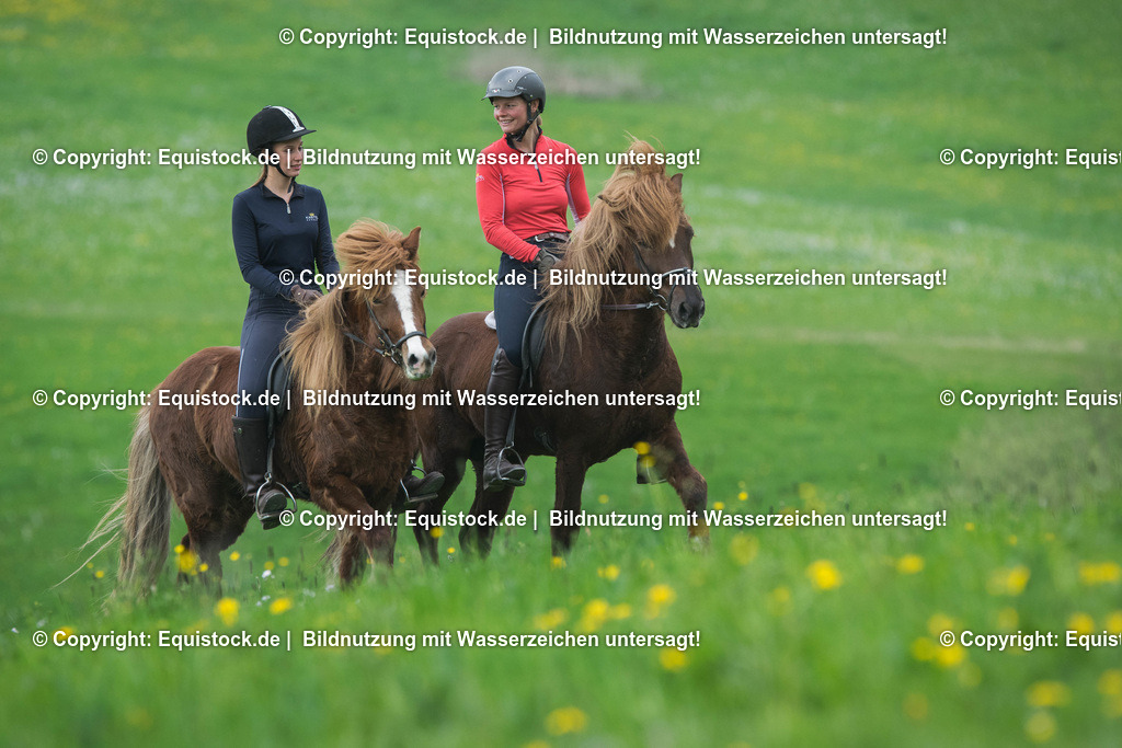 TS_20170415_Isl__nder_Ausritt_0012 | Foto: Thomas Hartig