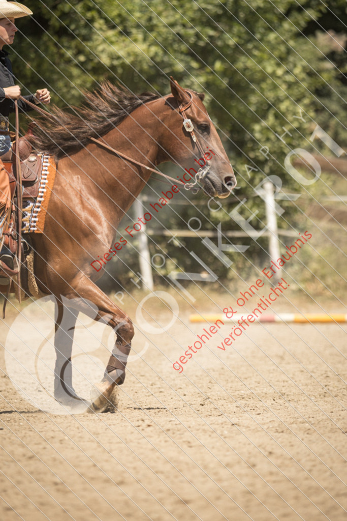 IMG_0343 | Sport-, Event- und Tierfotos in Profiqualität. Einfach auswählen, bestellen und herunterladen. Dein Moment – perfekt festgehalten.