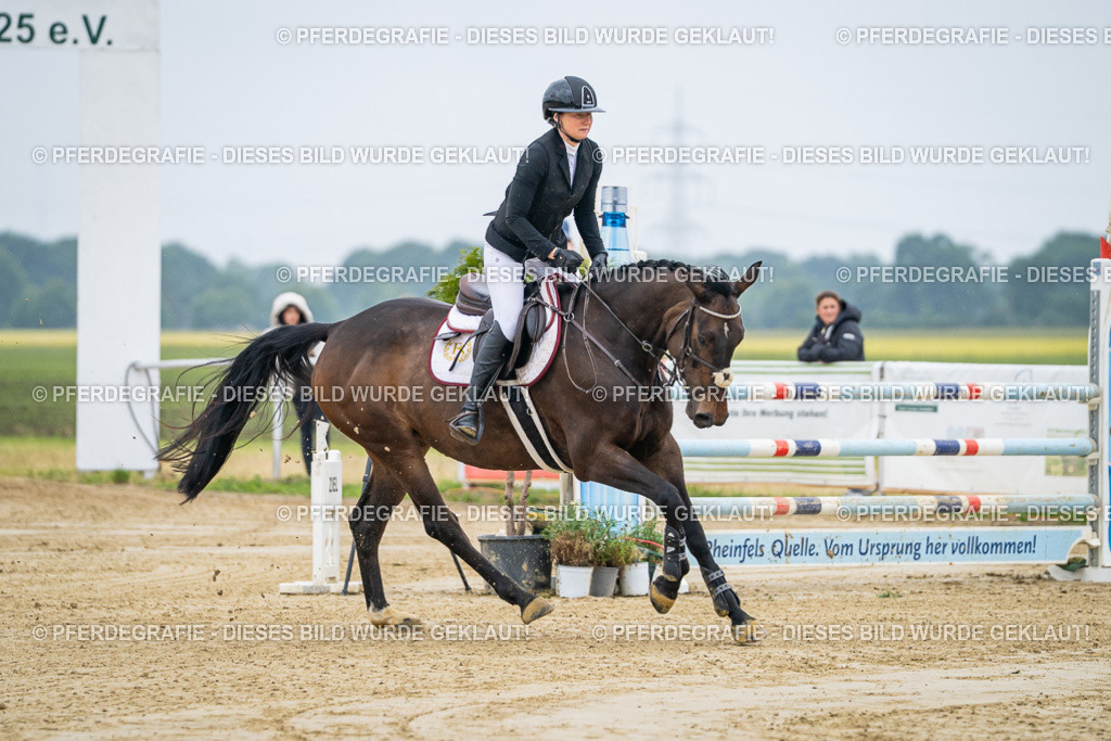 DSC01263 | Pferdegrafie