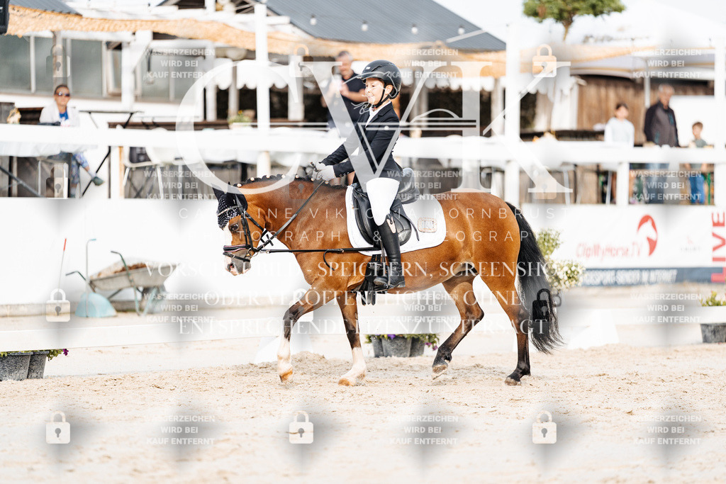 CK904304 | Turnierfotografie Pferdefotografie Trier Rheinland-Pfalz Pferdesport Reitsport Tierfotografie Sportfotografie Pferdevideo Pferdevideografie Equestrianvideography equestrianphotography  - Realisiert mit Pictrs.com