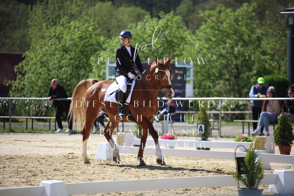 IMGT0264 | pl-fotografie