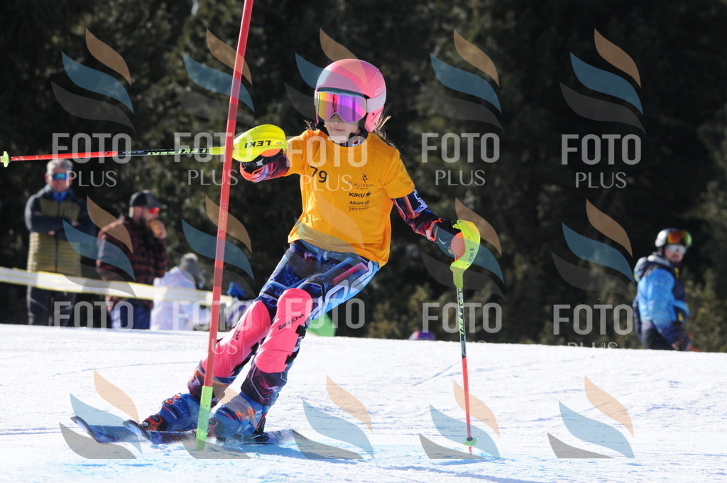 C6990 | holidayphoto