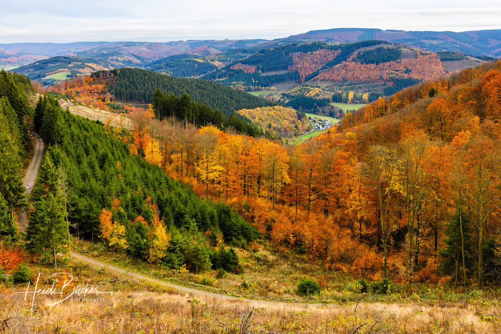 Herbst im Sauerland | Herbst im Sauerland - Realisiert mit Pictrs.com