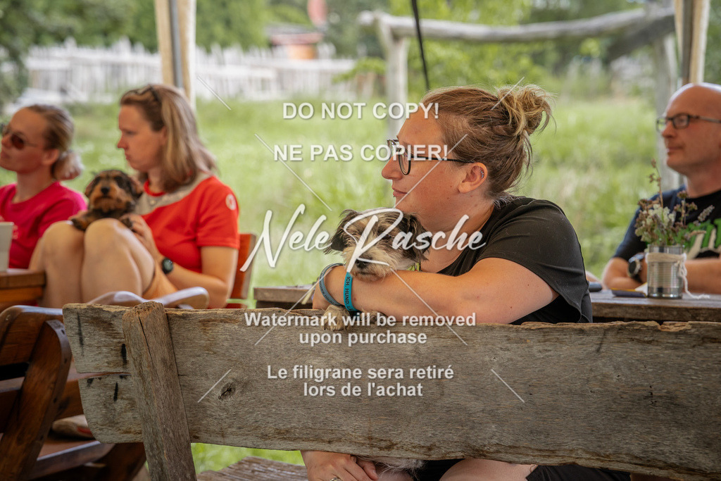 nelerasche_SoAbschied_05 | nelerasche