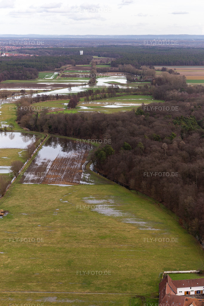 Luftbild: Überflutete Flutungswiesen des Polder Neupotz am Hochwasser- Pegel führenden Flußbett des Rhein in Neupotz in Erlenbach bei Kandel im Bundesland Rheinland-Pfalz in Deutschland. Foto: IMG_124196.jpg vom 04.02.2021 durch Werner Riehm/FLY-FOTO.de