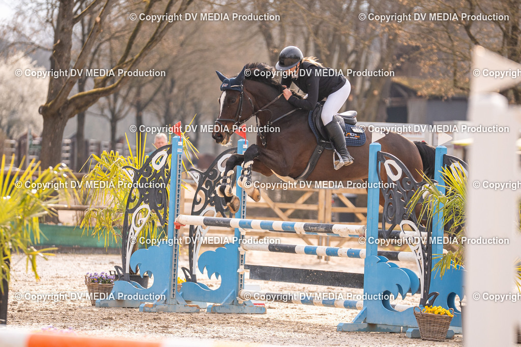 Kranichstein Tag 2-1431 | dv-media-shop - Realisiert mit Pictrs.com