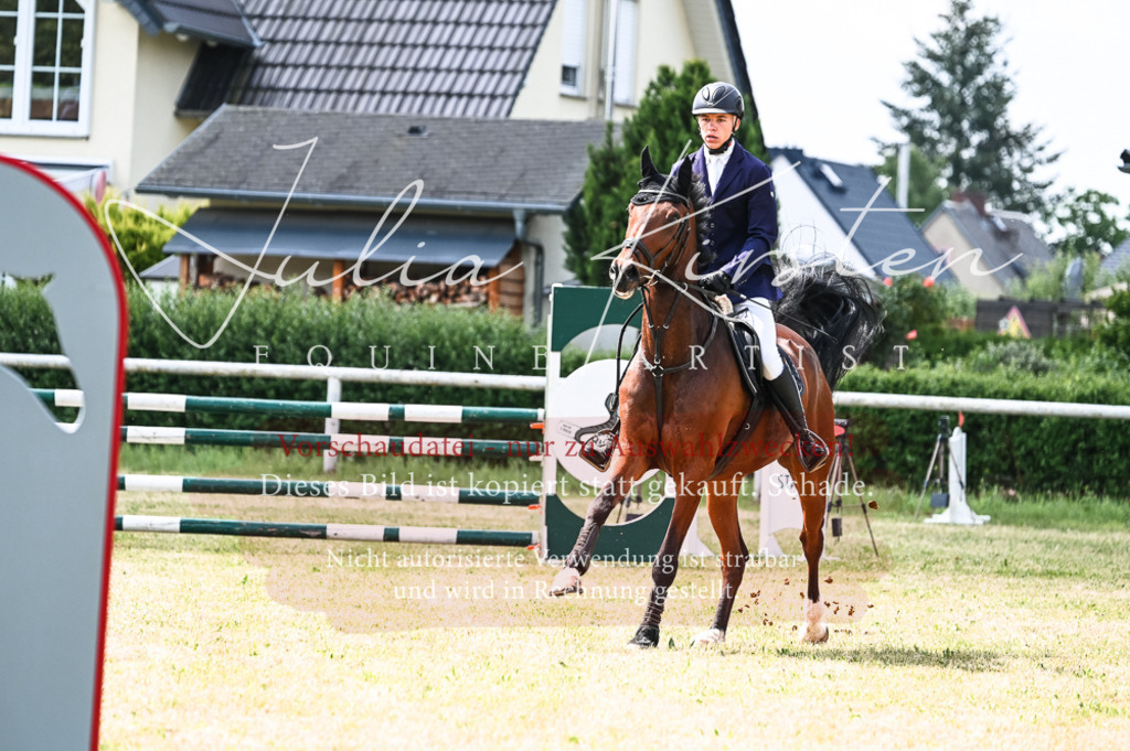 DSC_8946 | Pferde- und Turnierfotografie in Westsachsen. Pferdeportraits, Auftragszeichnungen und intuitive Kunst.