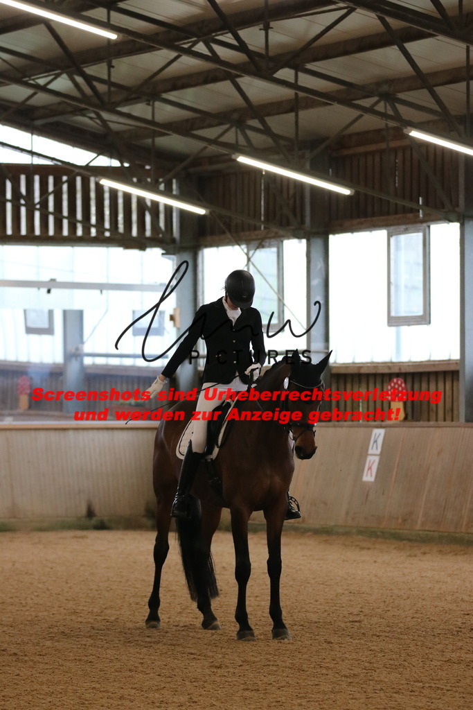 IMG_6243 | lmwpictures - Realisiert mit Pictrs.com