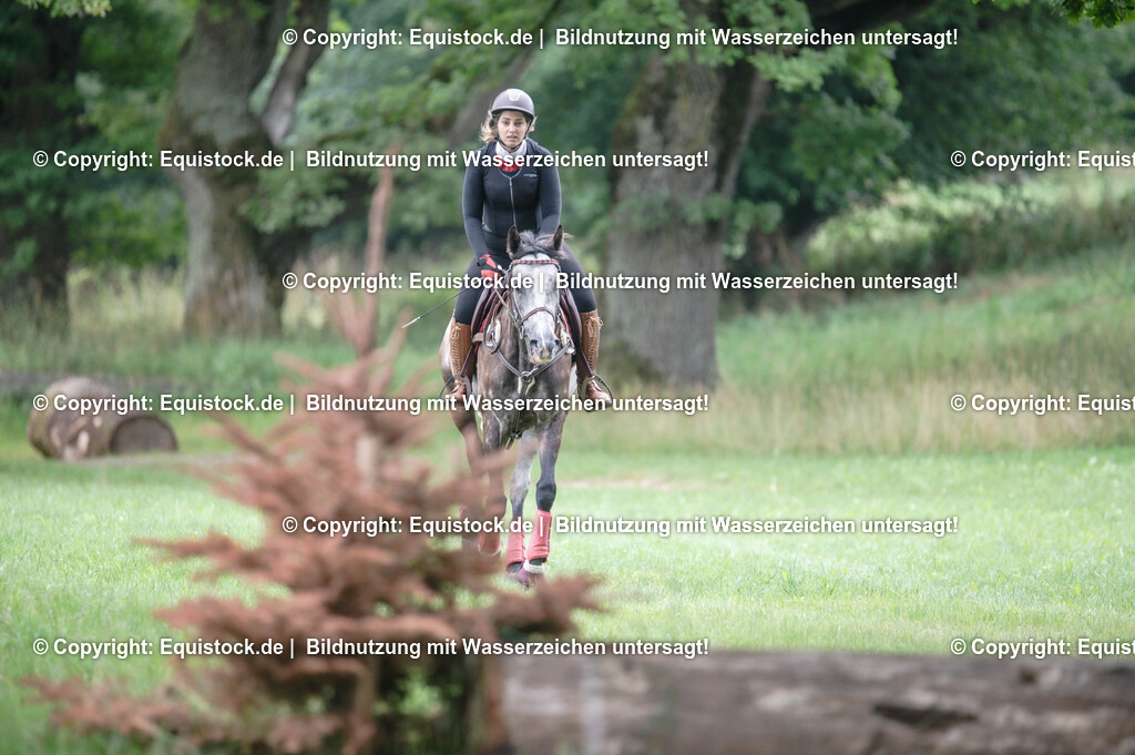 20250726_Vielseitigkeitslehrgang-Marbach_0231 | Foto: Thomas Hartig