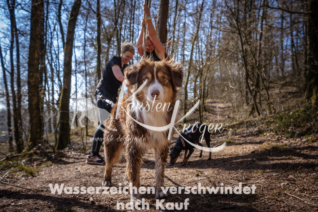1128_ZZ98344 | kk-dogfotos