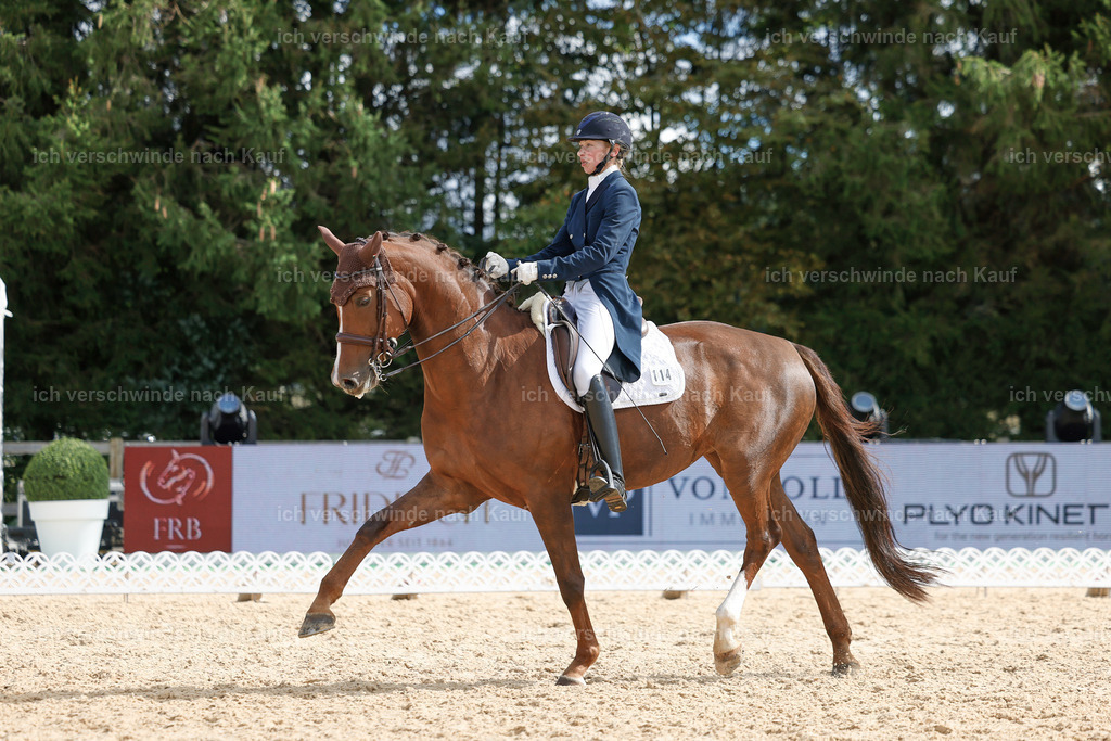 09_2-114-DRESSUR  S_  -StoibPH-5882 | working equitationturnier fotograf videograf stoibphotography marixx film working equitation deutschland reitsport turnierfotografie eventfotografie equestrian events