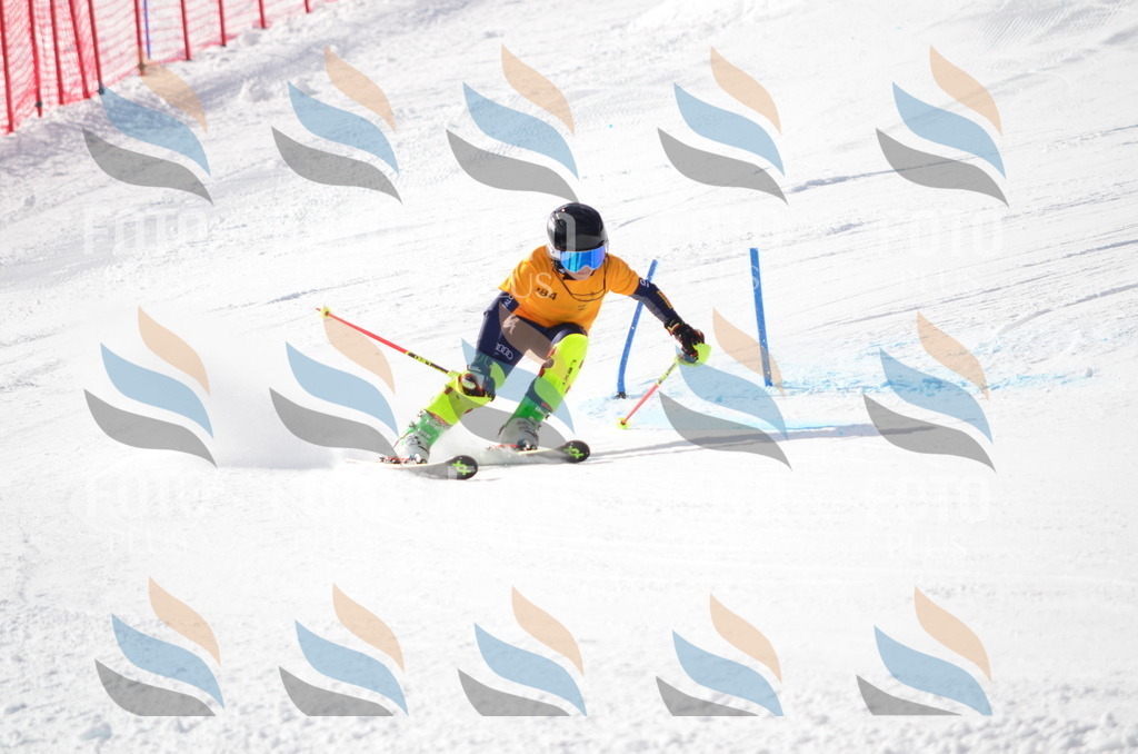 C8010 | holidayphoto