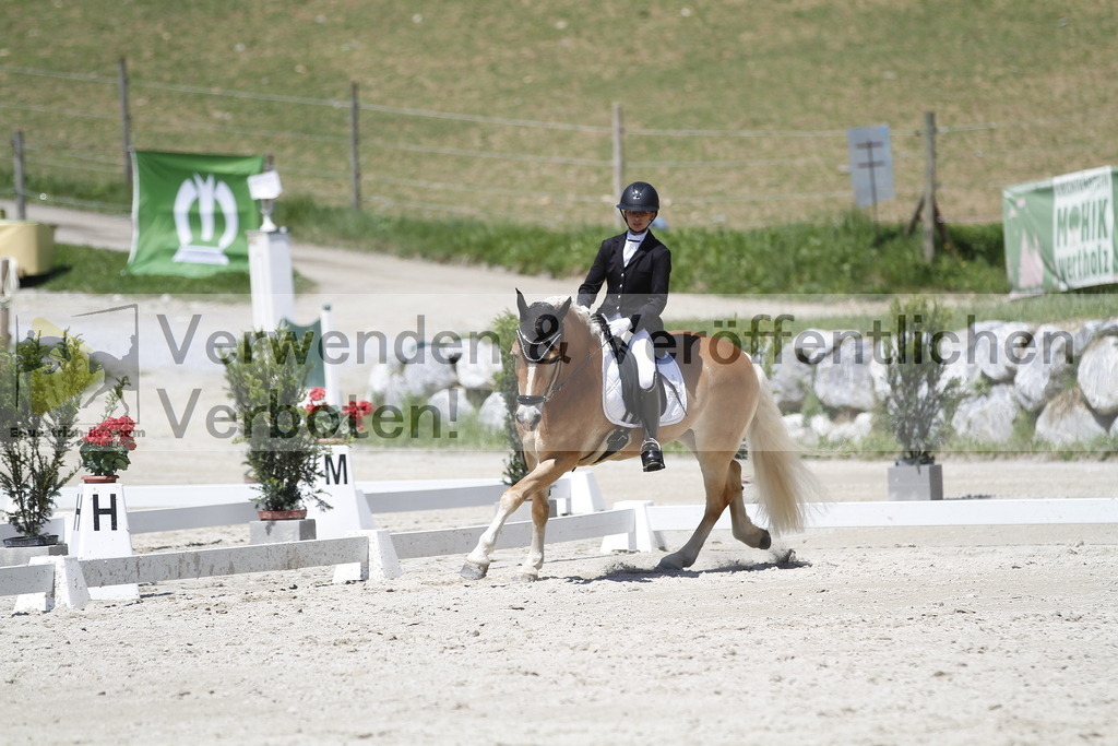 _MG_4987 | equestrian-live-com