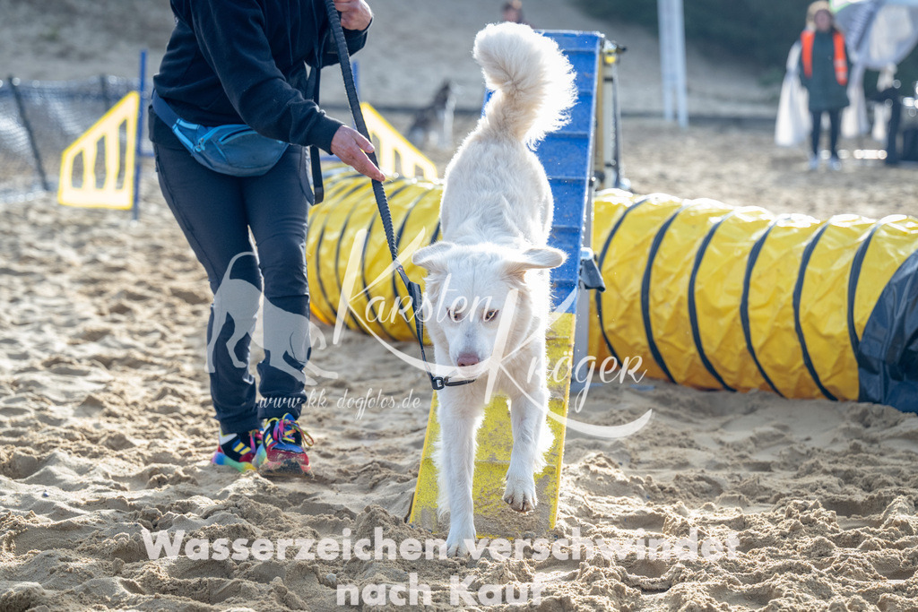 0949_ZZ92852 | kk-dogfotos